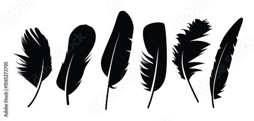 A stylish collection of elegant bird feather black silhouettes. Perfect plumelets for boho, tribal, or nature-inspired designs, tattoos, prints, logos, and decorative graphic projects.