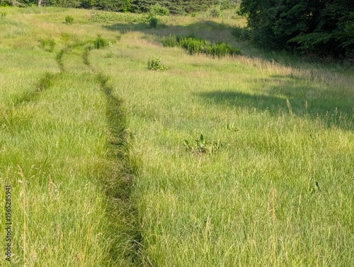 Trace in a field, rtrace dans un champ
