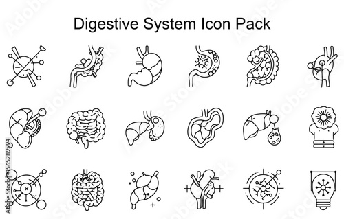 Digestive System Icon Pack