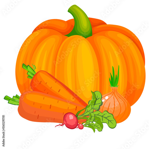 vegetables pumpkin carrot radish onion no background