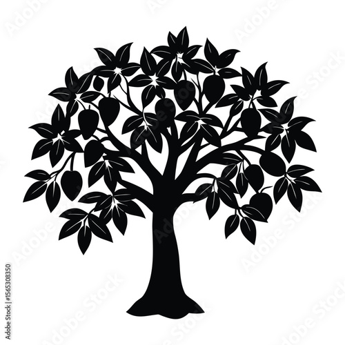 Magnificent Mango Tree Silhouette Black and White Image