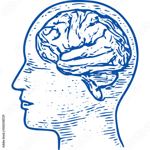 Intricate human brain icon, perfect for mental health and detox stock graphics