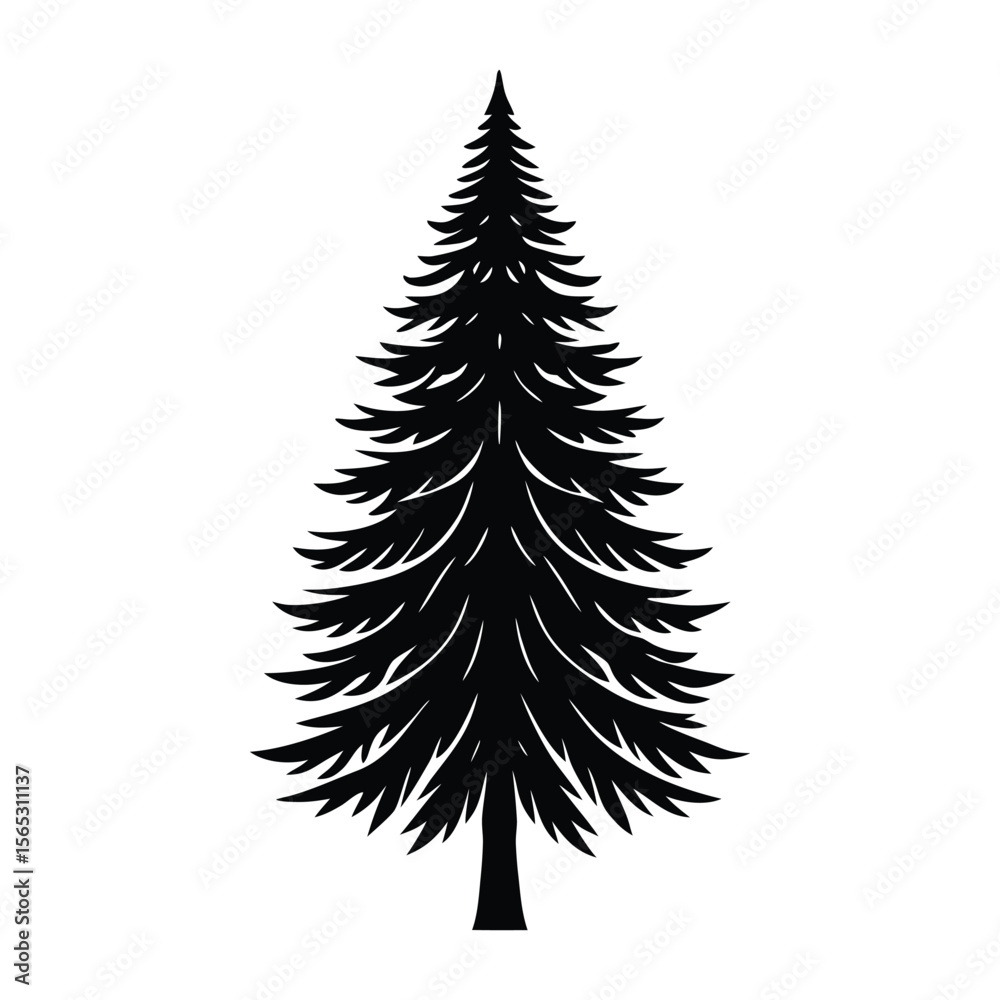 Fototapeta premium Majestic Evergreen Tree Silhouette Black and White Image