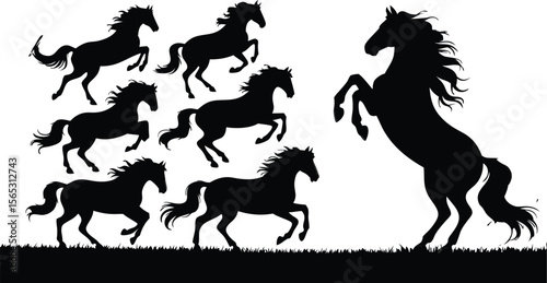 Black Horse Silhouettes Group of Horses Running, Prancing, and Rearing Against a White Background