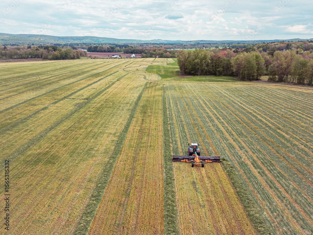 Fototapeta premium Making windrows
