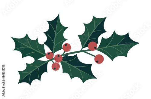 Festive Holly Branch Design for Holiday Decor