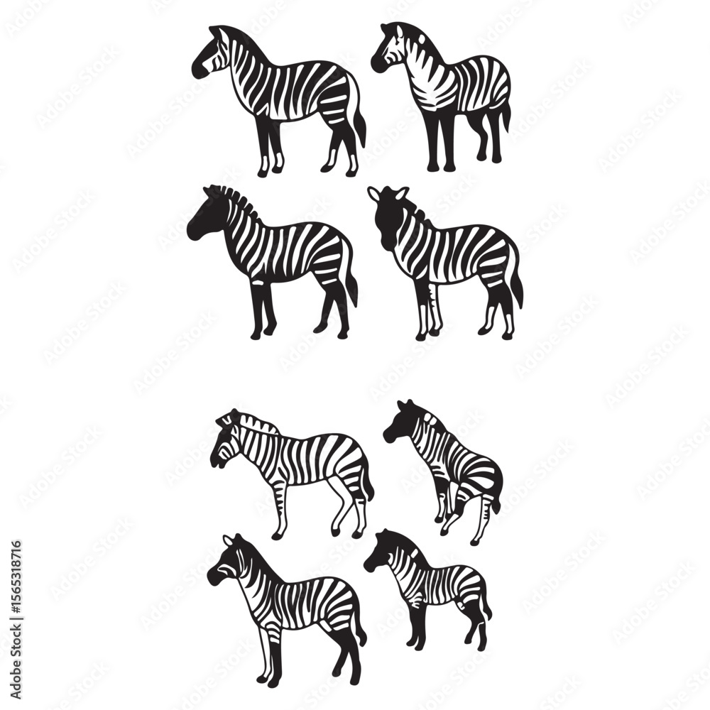 Fototapeta premium zebra and zebras silhouettes vector