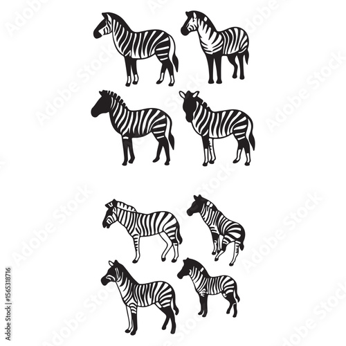 zebra and zebras silhouettes vector