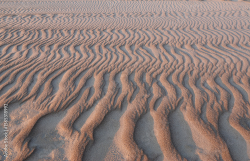 Natural patterns formed by wind on the sandy beach, captured in warm evening light.