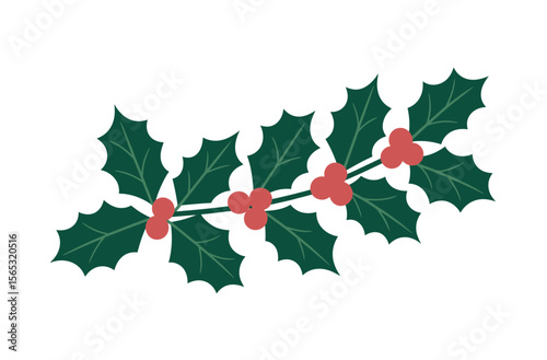 Festive Holly Branch Design for Holiday Decor