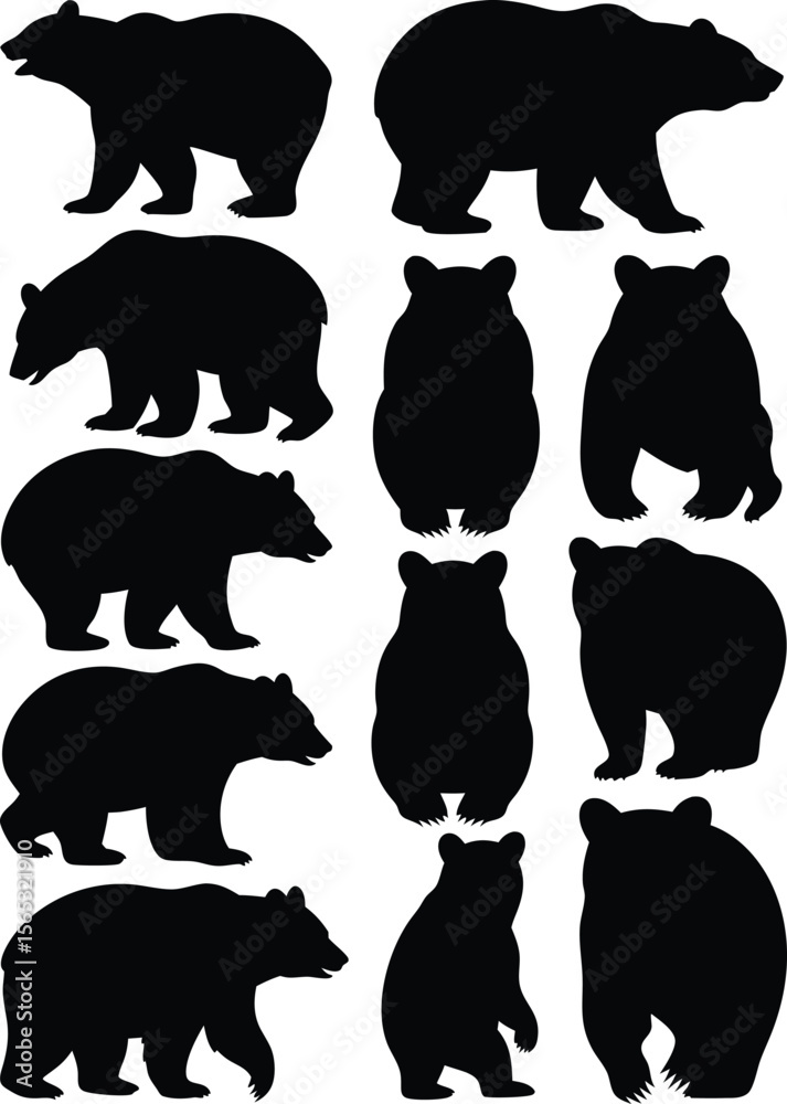 Fototapeta premium Set of Black Bear Silhouette Graphics Various Bear Poses, Designs, and Illustrations on White