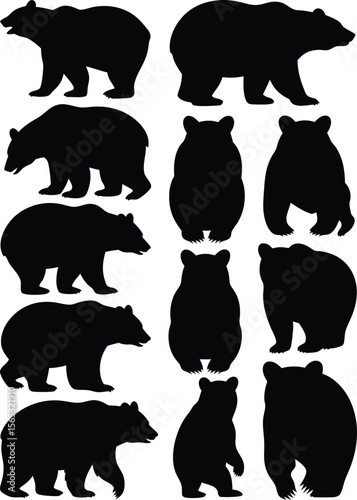 Set of Black Bear Silhouette Graphics Various Bear Poses, Designs, and Illustrations on White