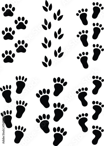 Black and White Featuring Varied Animal Paw Prints and Footprints Illustrations