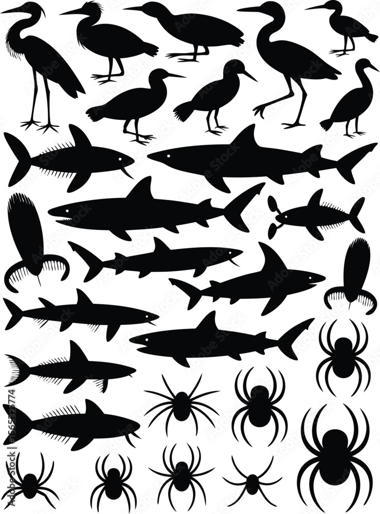 Silhouetted Birds, Sharks, and Spiders on a White Background Illustration and Graphics Silhouetted Birds, Sharks, and Spiders on a White Background Illustration and Graphics