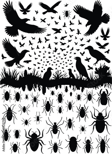 Silhouetted Birds and Insects Ravens, Eagles, Spiders, and Beetles, Black Against White Background