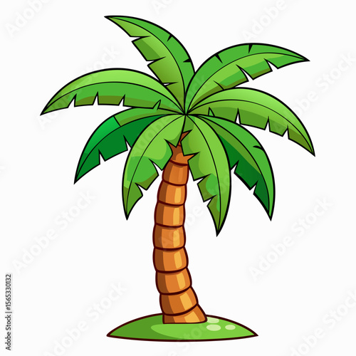 tropical palm tree