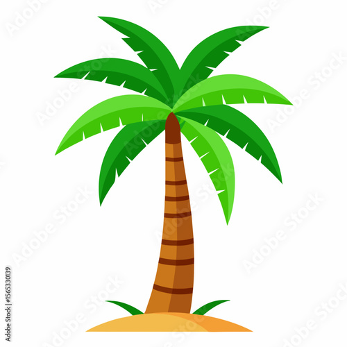 tropical palm tree