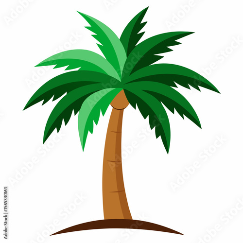 tropical palm tree