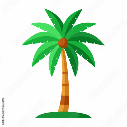 tropical palm tree