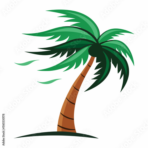 tropical palm tree