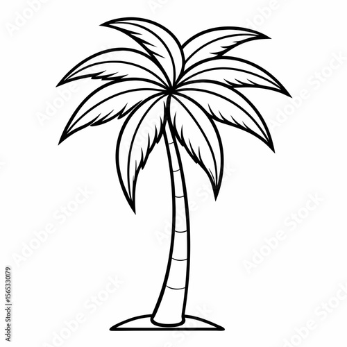 tropical palm tree