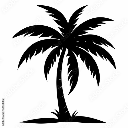 tropical palm tree