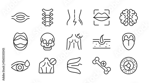 Human Body linear icon set. Organs, body parts, skeleton parts, pictograms, joint, knee, x-ray, arthritis, autoimmune, gout, inflammation line icon set. Ui thin line icon pack.