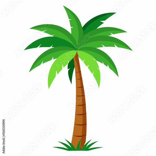 PLAM TREE VACTOR ART