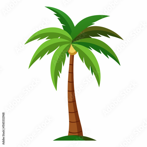 PLAM TREE VACTOR ART