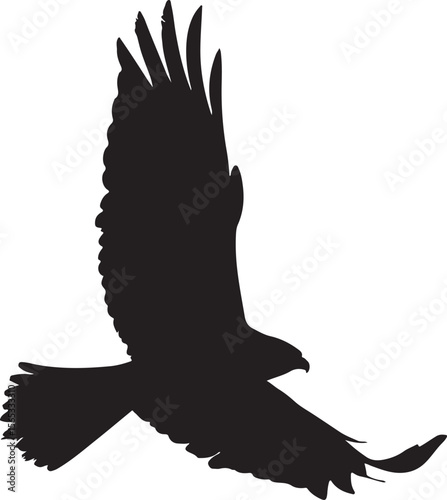 Falcon or eagle  flying silhouette