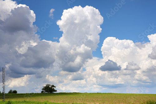 Fototapeta Naklejka Na Ścianę i Meble -  Big clouds over a summer field