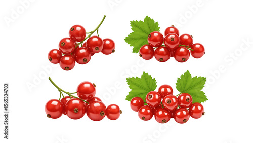 Red currant png. cranberries Vaccinium oxycoccus fruits, top view isolated on transpalate background