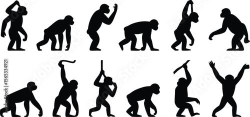 Silhouettes Showcasing Evolution Sequence of Apes Standing Upright and Using Tools Over Time