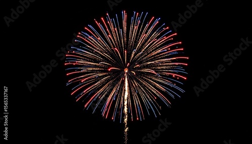 Spectacular Fireworks Display A Burst of Red, Blue, and Gold