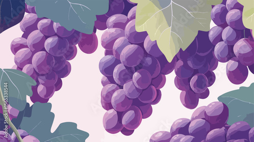 Bunch of Grapes Fruit Flat Vector Illustration
