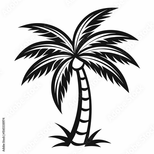 PLAM TREE VACTOR ART