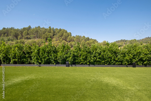 Bright artificial grass sports field surrounded by trees and hills under clear blue sky, representing modern landscaping, urban green spaces and sustainable recreational environments for outdoor activ