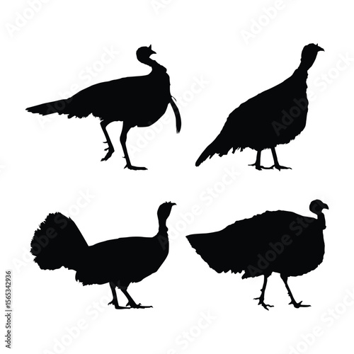 turkey birds black silhouette illustration on whtie background vol 02