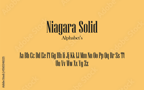 An Illustration Of NIAGARA SOLID Font With Comfort Bg, Or With Icon's That Can Be Editable.