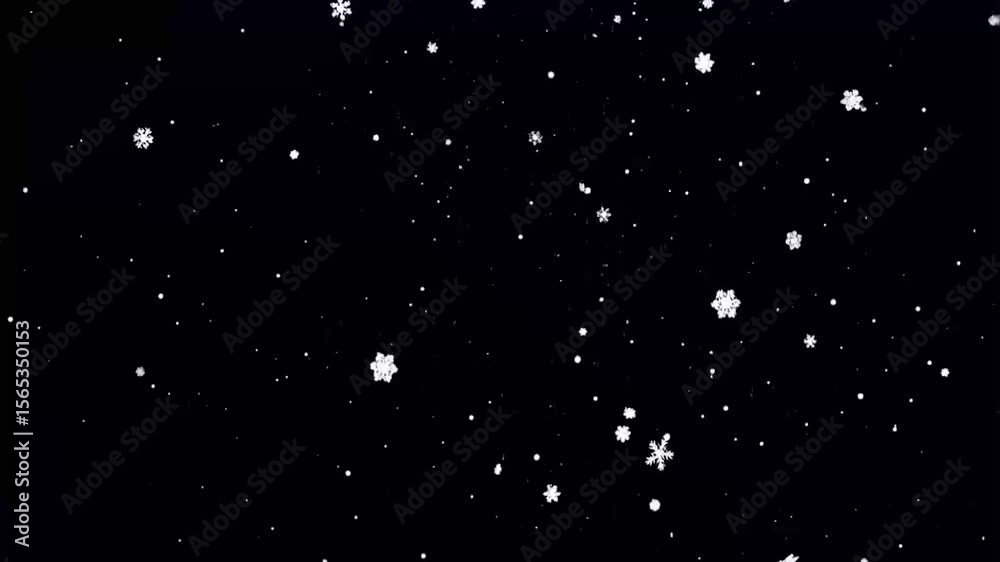 **Isolated Snow Falling on Black Background** — A seamless loop of gentle white snowflakes drifting against a dark backdrop. Perfect for winter scenes, holiday projects, or atmospheric overlays in fil
