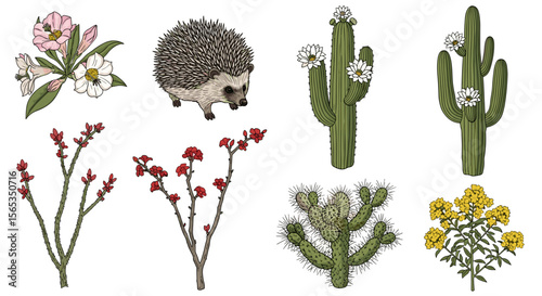Illustration featuring a hedgehog, flowering cacti, and various flowering plant branches in full bloom