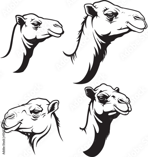 Camel head profile silhouette vector illustration