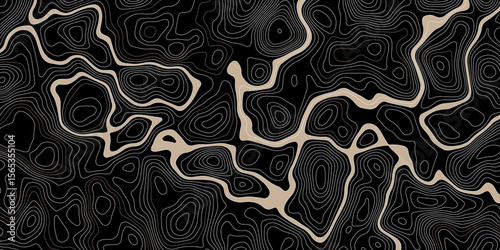  abstract topographic map on a black background with beige areas defined by white contour lines showing elevation and terrain detail