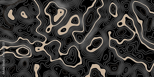  abstract topographic map on a black background with beige areas defined by white contour lines showing elevation and terrain detail