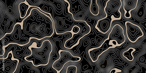  abstract topographic map on a black background with beige areas defined by white contour lines showing elevation and terrain detail