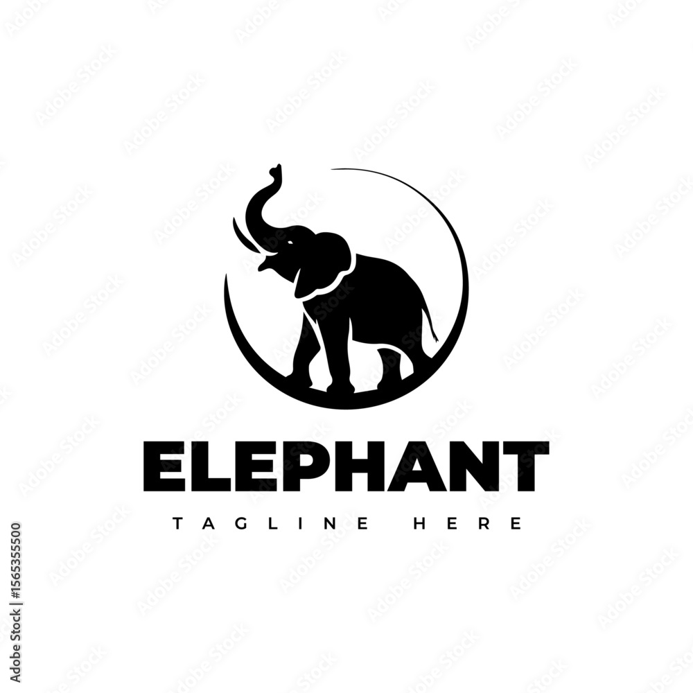 Obraz premium black and white elephant