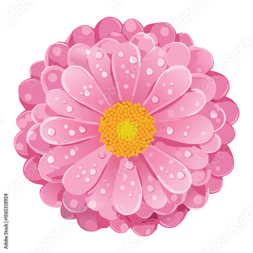 Light Pink Flower Head with Water Drops
