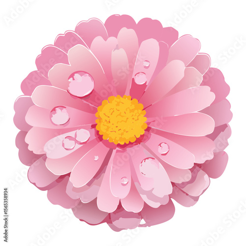 Vibrant Pink Flower Head with Dew Drops