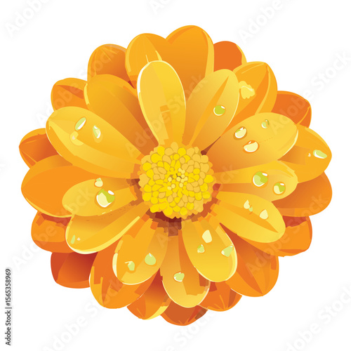 Golden Orange Flower Head with Dew Drops