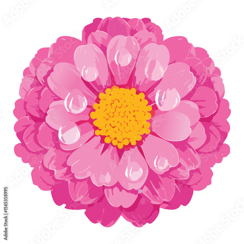 Delicate Pink Flower Head with Dew Drops